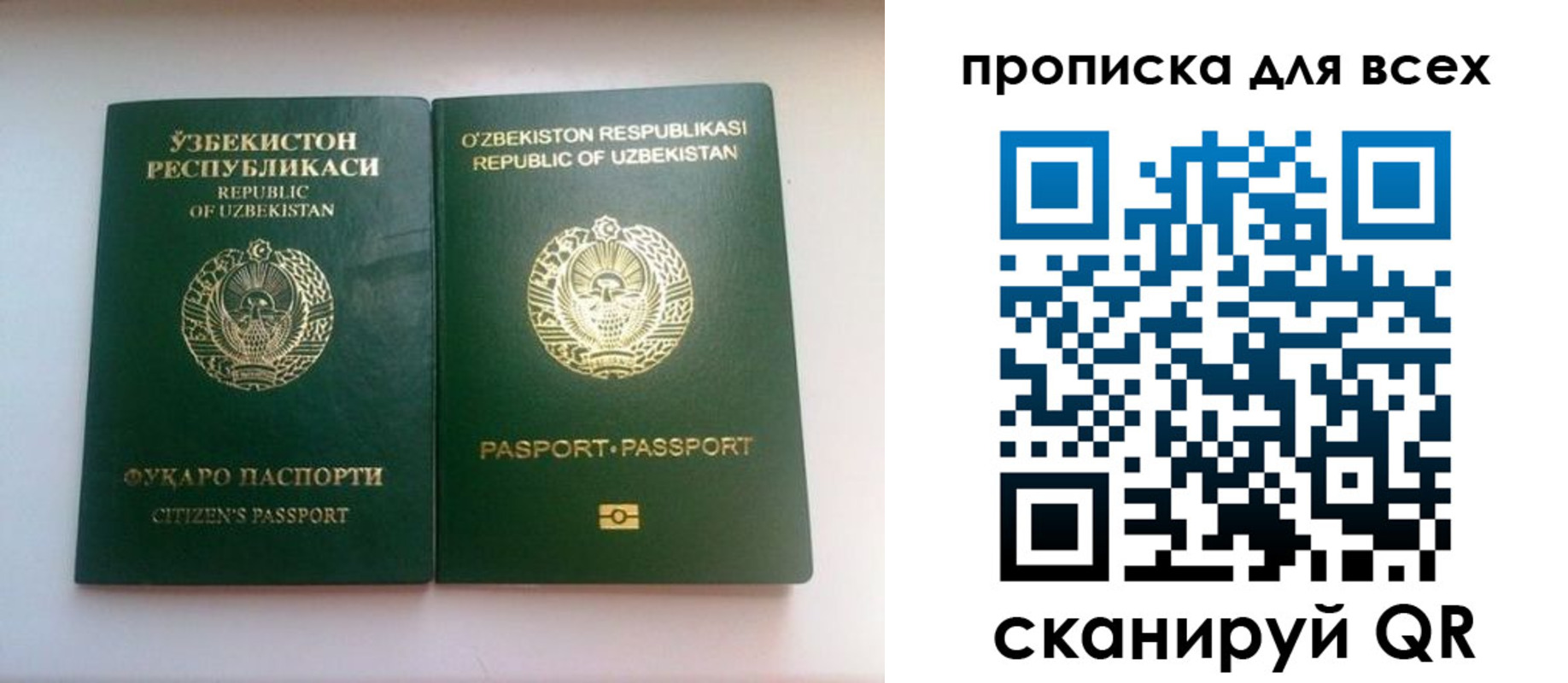 прописка для школы в Сосновке